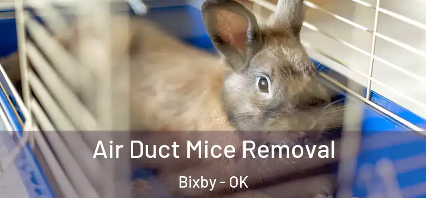  Air Duct Mice Removal Bixby - OK