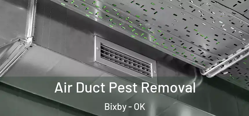 Air Duct Pest Removal Bixby - OK