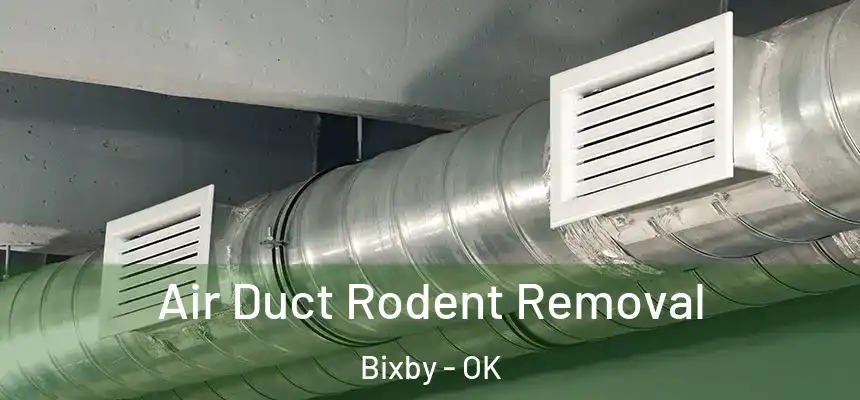 Air Duct Rodent Removal Bixby - OK