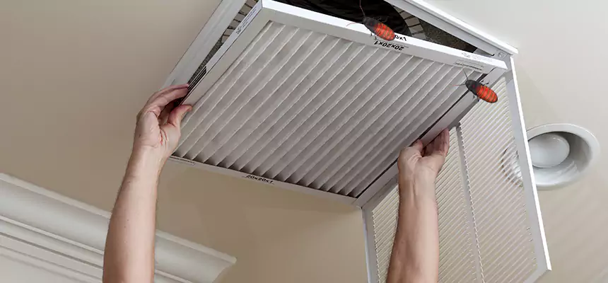 Our Insect Removal from Air Ducts Services in Bixby, OK