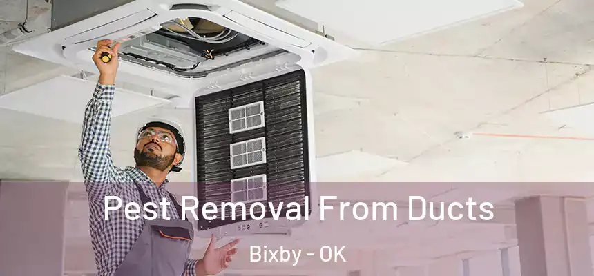  Pest Removal From Ducts Bixby - OK