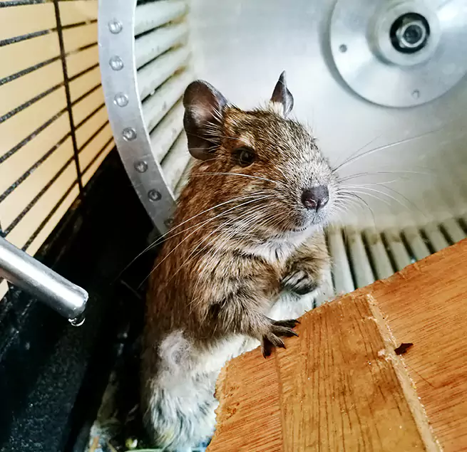 Why Homeowners & Businesses Trust Us Bixby, OK